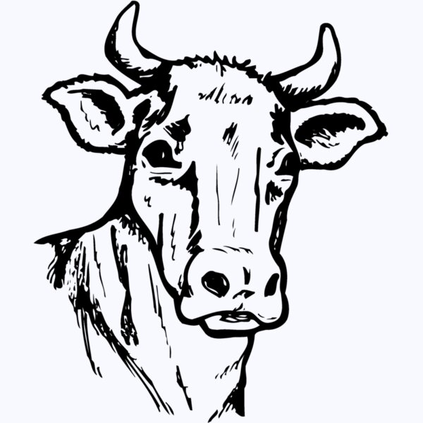 COW006 Thumbnail