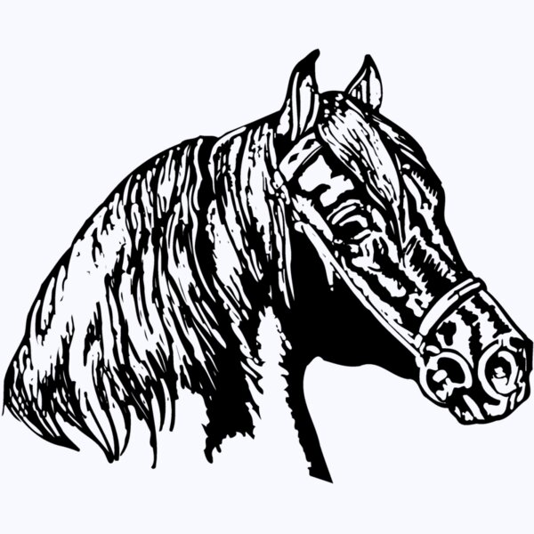 HORSE002 Thumbnail