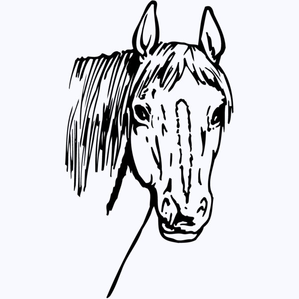 HORSE003 Thumbnail