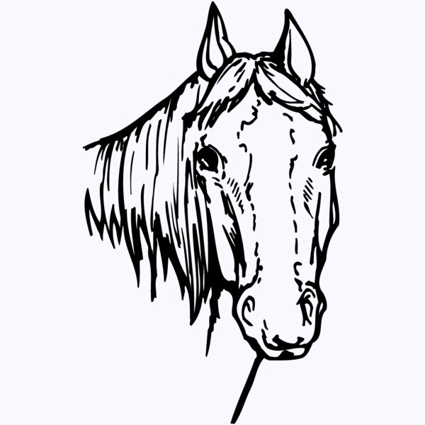 HORSE004 Thumbnail