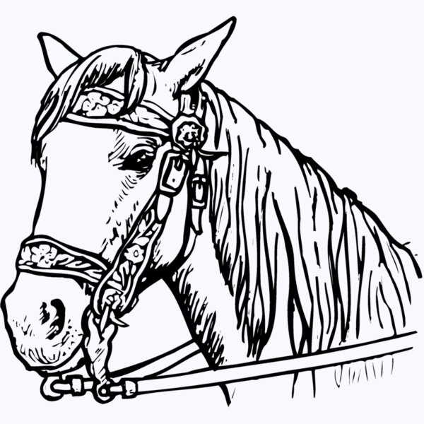 HORSE005 Thumbnail