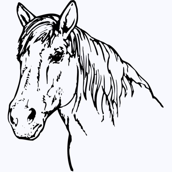 HORSE009 Thumbnail