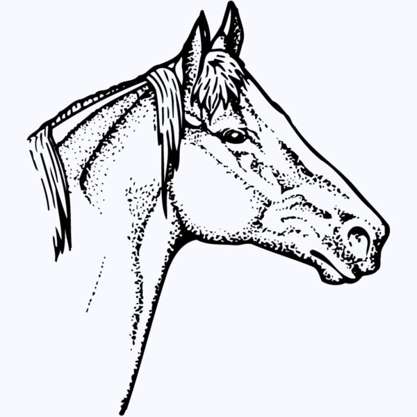 HORSE010 Thumbnail