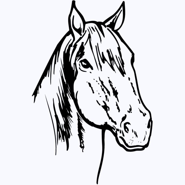 HORSE011 Thumbnail