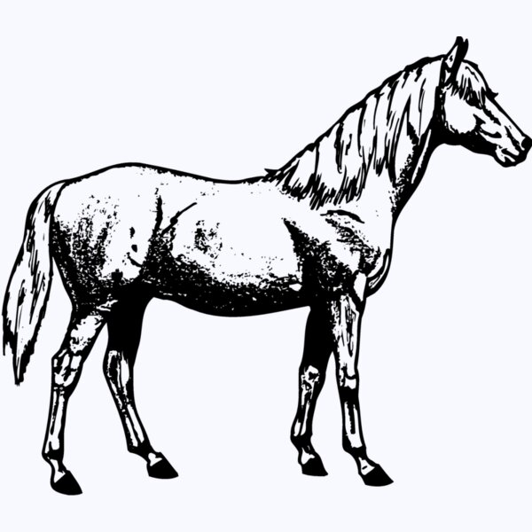 HORSE013 Thumbnail