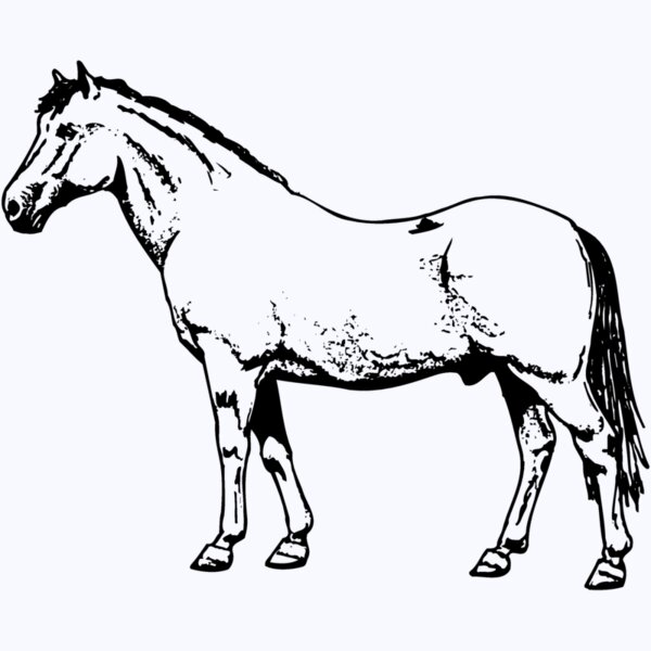 HORSE028 Thumbnail