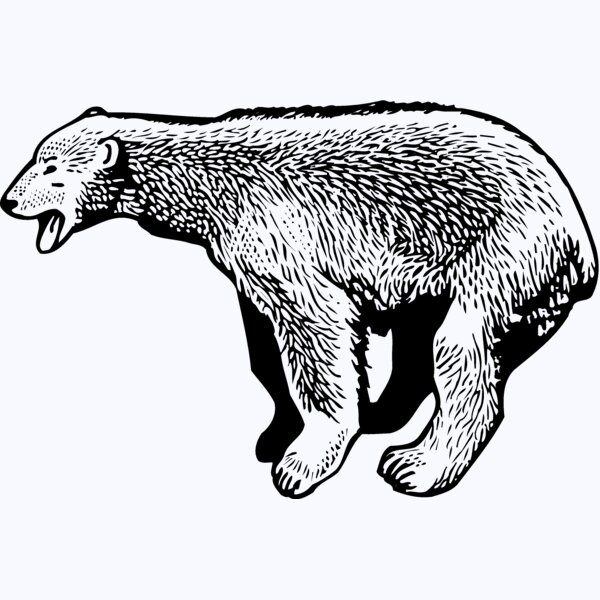 BEAR014_ Thumbnail