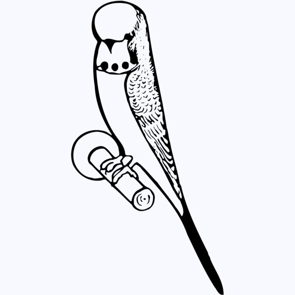 BIRD016 Thumbnail