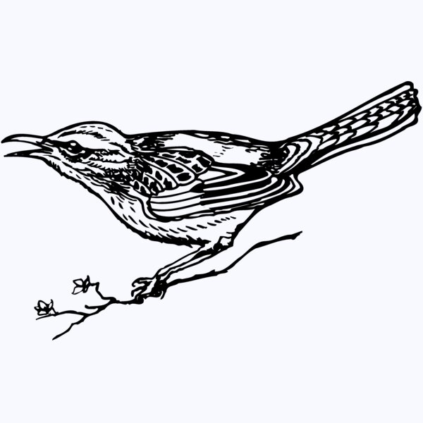 BIRD018 Thumbnail