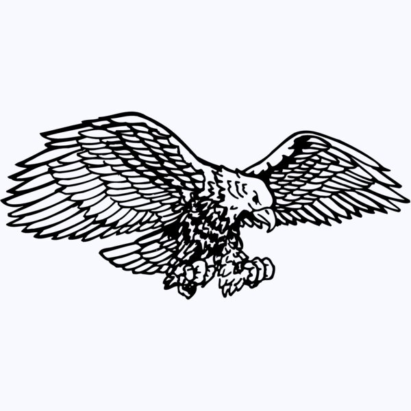 EAGLE003 Thumbnail