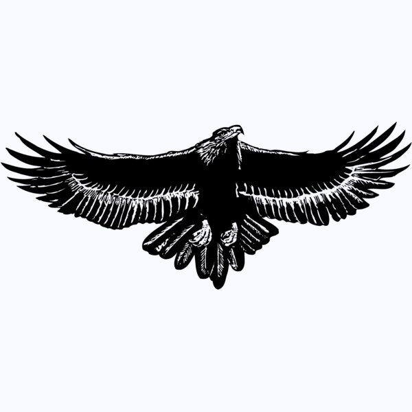 EAGLE010 Thumbnail