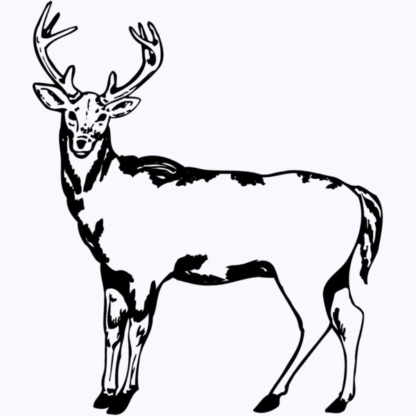 DEER005 Thumbnail