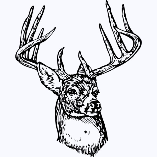 DEER006 Thumbnail