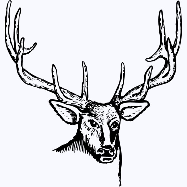 DEER007 Thumbnail