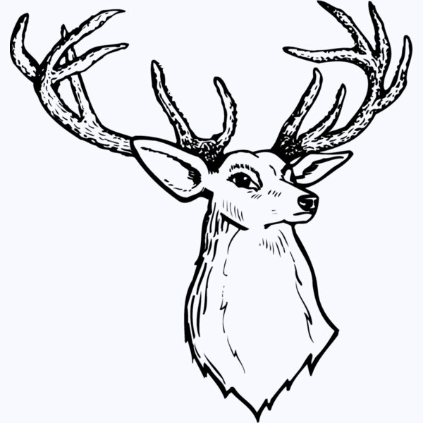 DEER008 Thumbnail