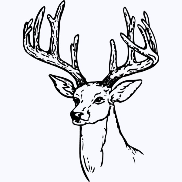 DEER009 Thumbnail