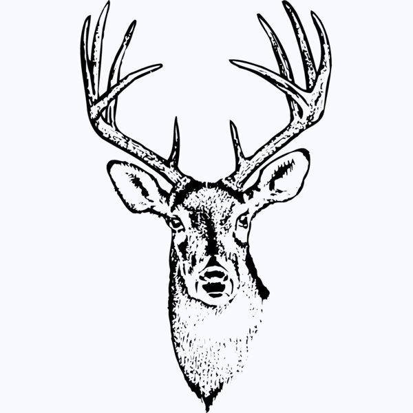 DEER010 Thumbnail