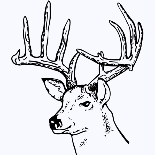 DEER014 Thumbnail