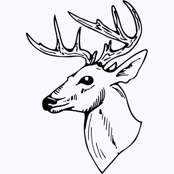 DEER018 Thumbnail