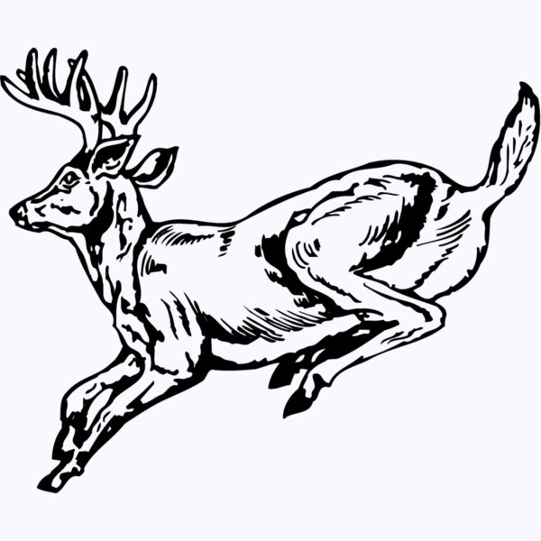 DEER027 Thumbnail