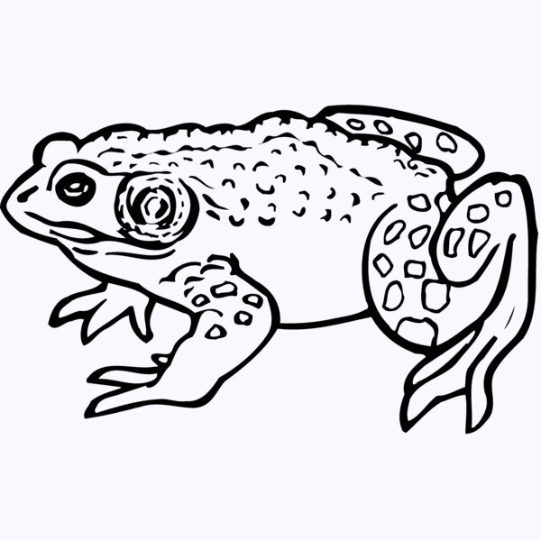 FROG02 Thumbnail
