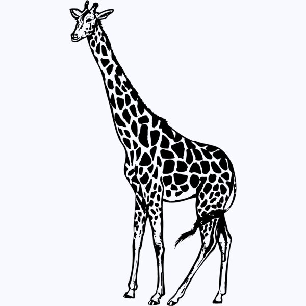 GIRAFF01 Thumbnail