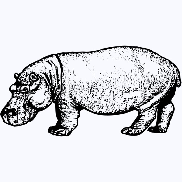 HIPPO002 Thumbnail