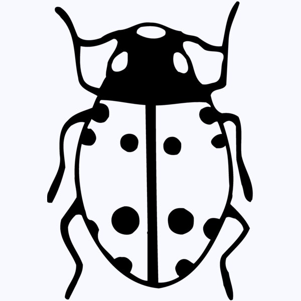 BEETLE03 Thumbnail