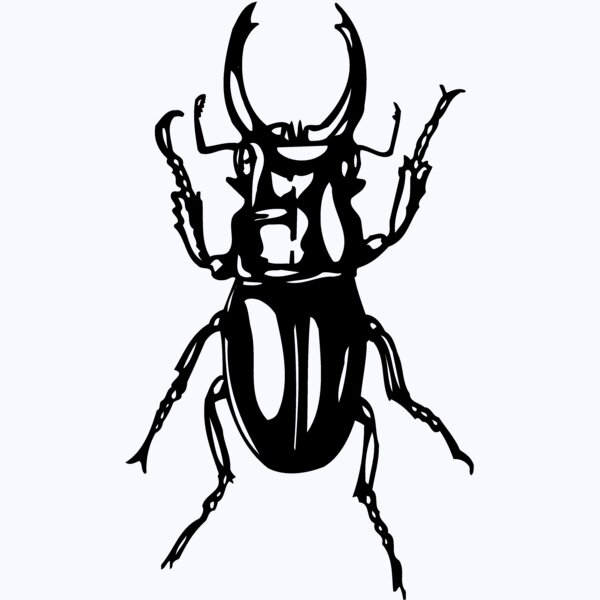 EARWIG Thumbnail