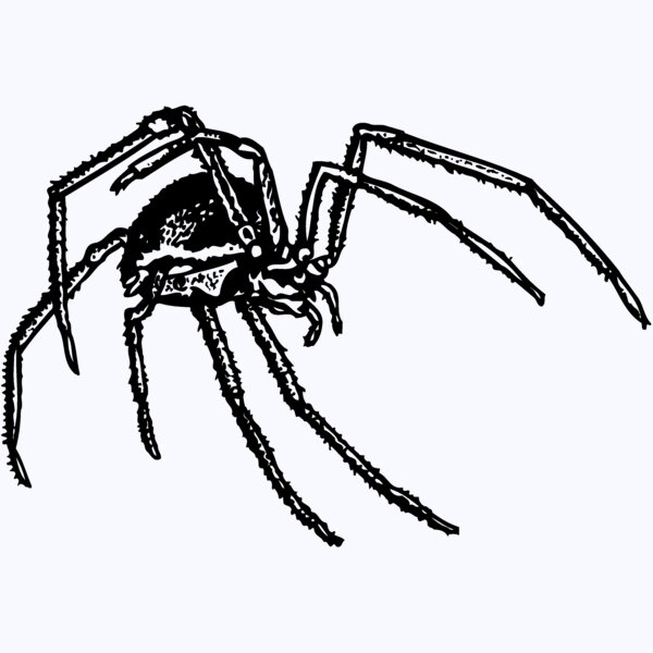 SPIDER01 Thumbnail