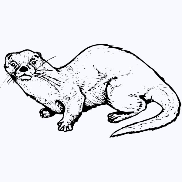 OTTER002 Thumbnail