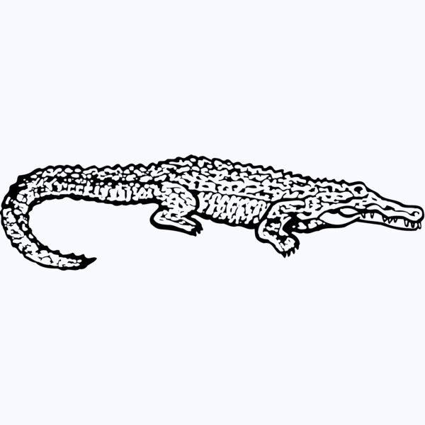 GATOR02 Thumbnail