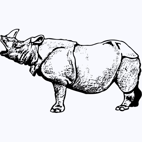 RHINO003 Thumbnail