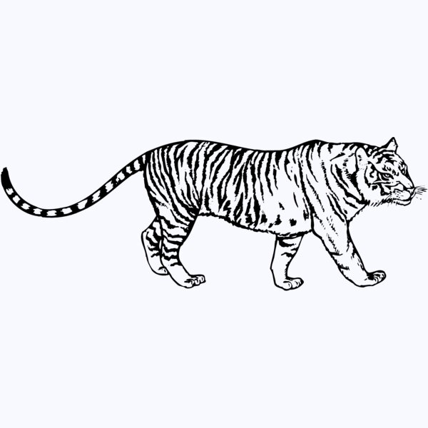 TIGER003 Thumbnail