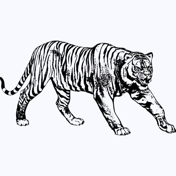 TIGER005 Thumbnail