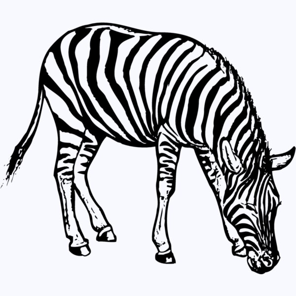 ZEBRA001 Thumbnail