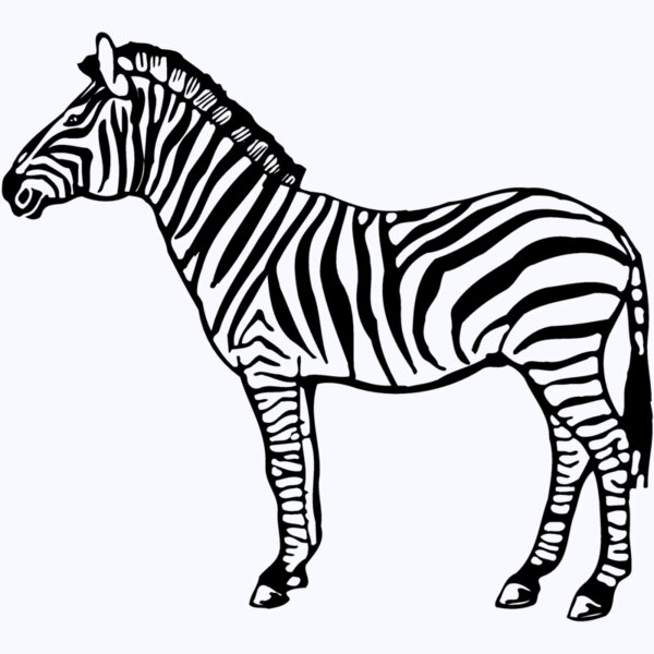 ZEBRA004 Thumbnail