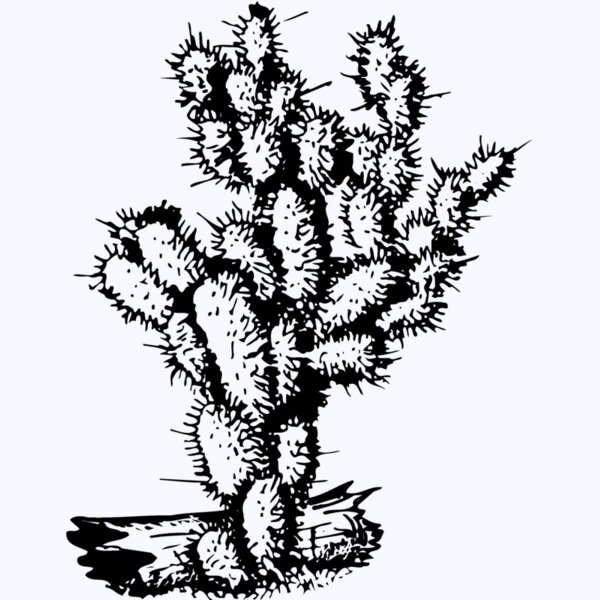 CACTUS09 Thumbnail