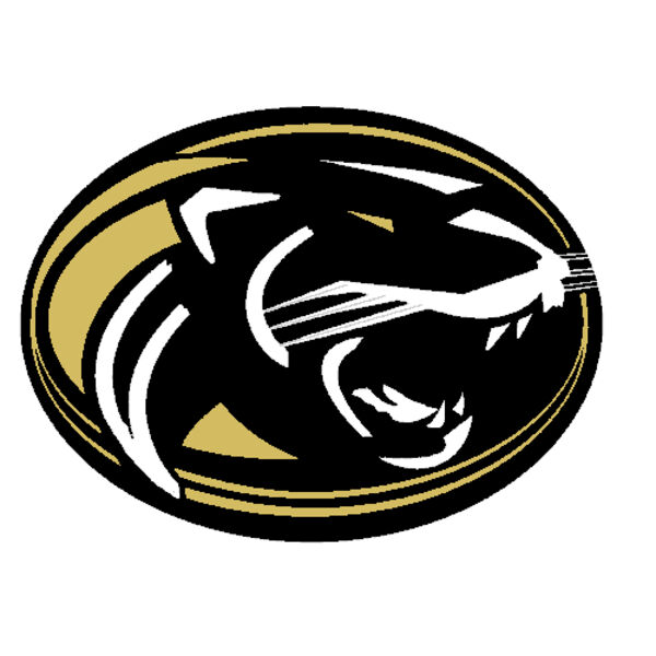 RayPec Panther Thumbnail