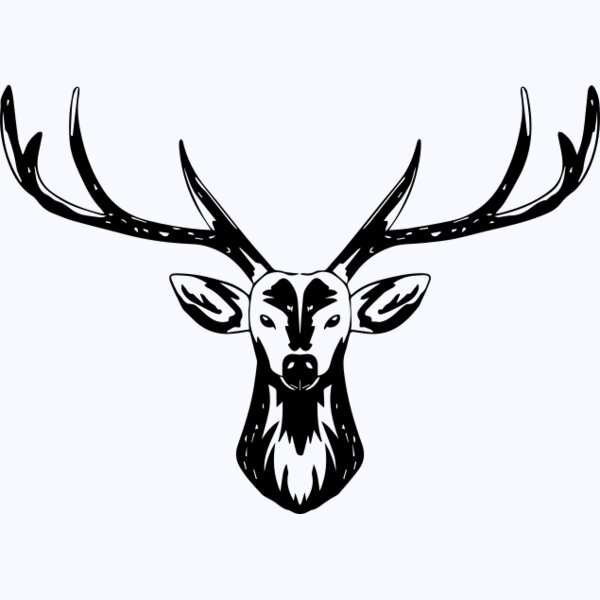   BW Deer 1  Thumbnail