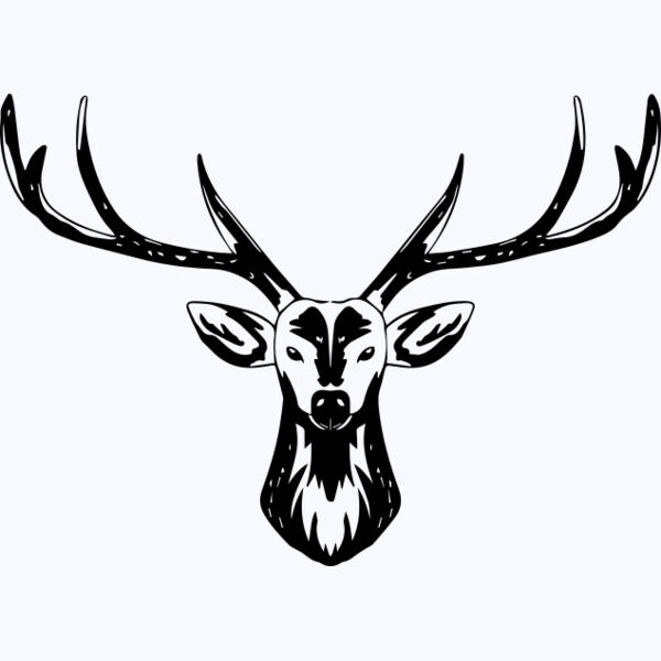   BW Deer 1  Thumbnail