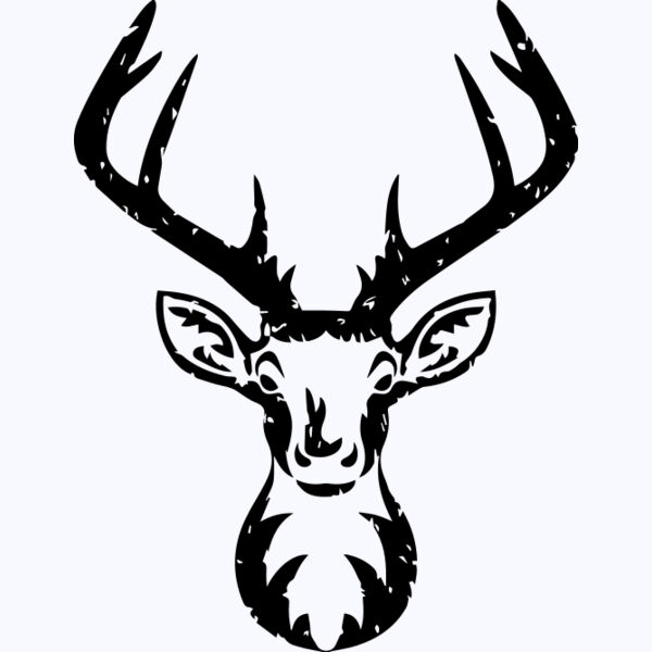   BW Deer 2 Thumbnail