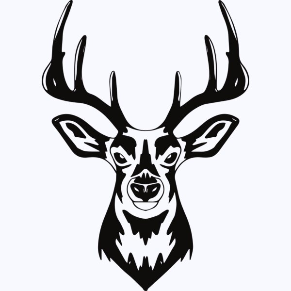   BW Deer 4 Thumbnail