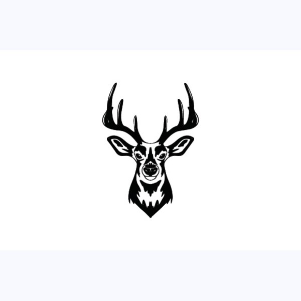   BW Deer 4 Thumbnail