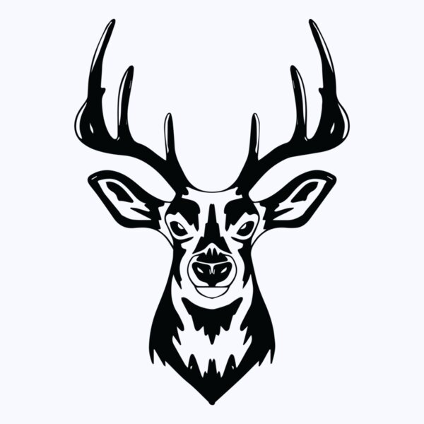   BW Deer 4 Thumbnail