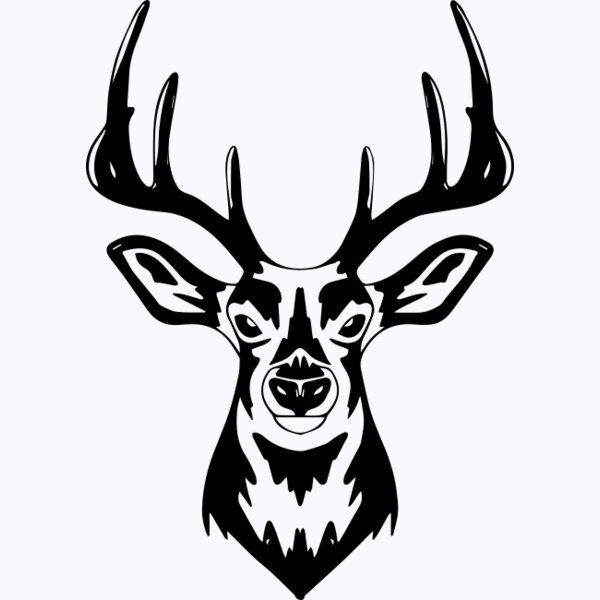   BW Deer 4 Thumbnail