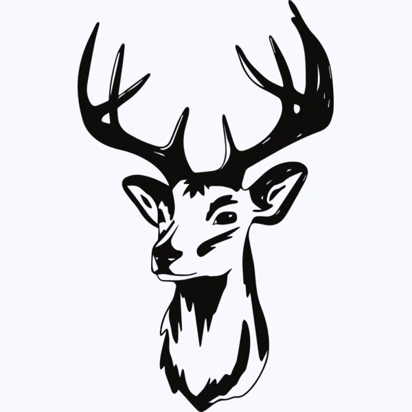   BW Deer 5 Thumbnail