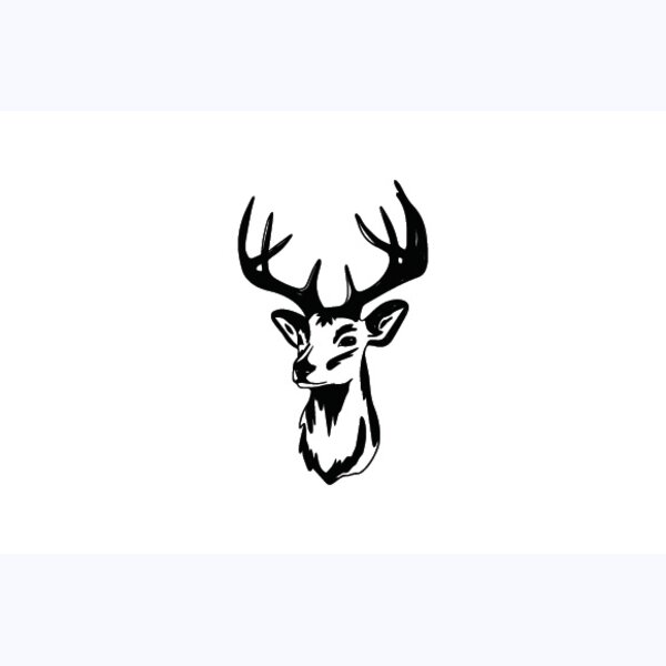   BW Deer 5 Thumbnail