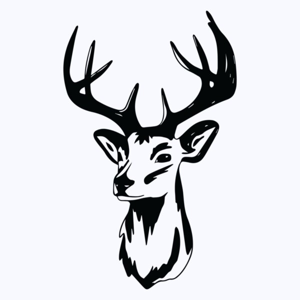   BW Deer 5 Thumbnail