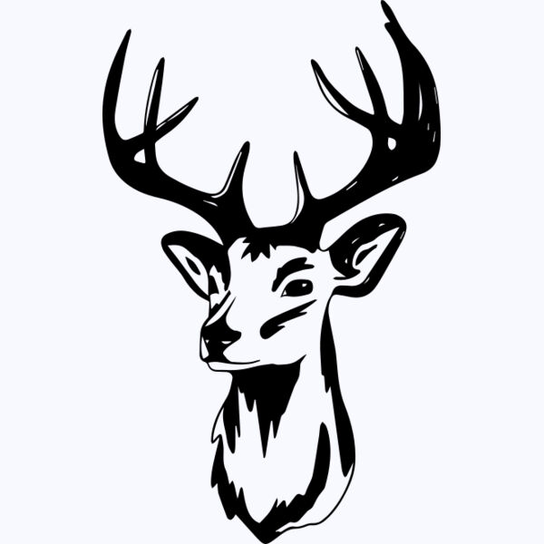   BW Deer 5 Thumbnail